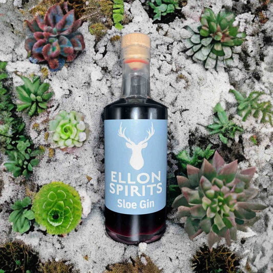 Ellon Spirits Sloe Gin Liqueur, 50cl bottle