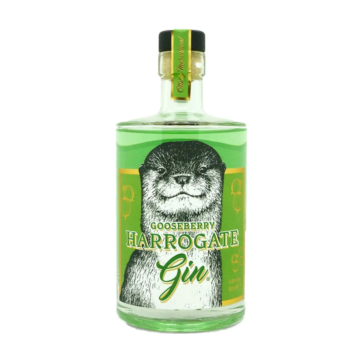 Harrogate Gooseberry Gin 50cl bottle on a white background
